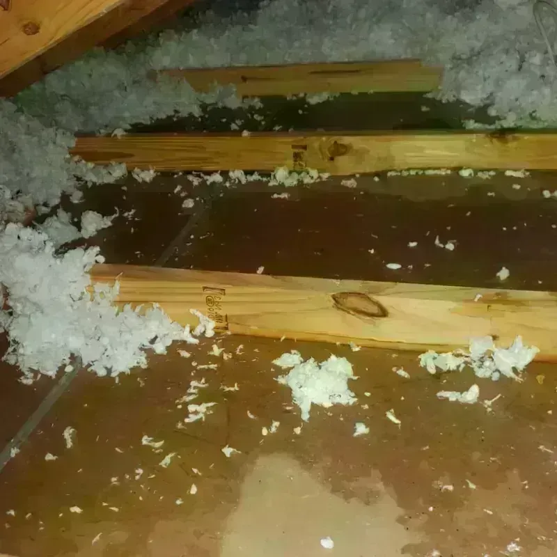 Attic Water Damage in California, PA