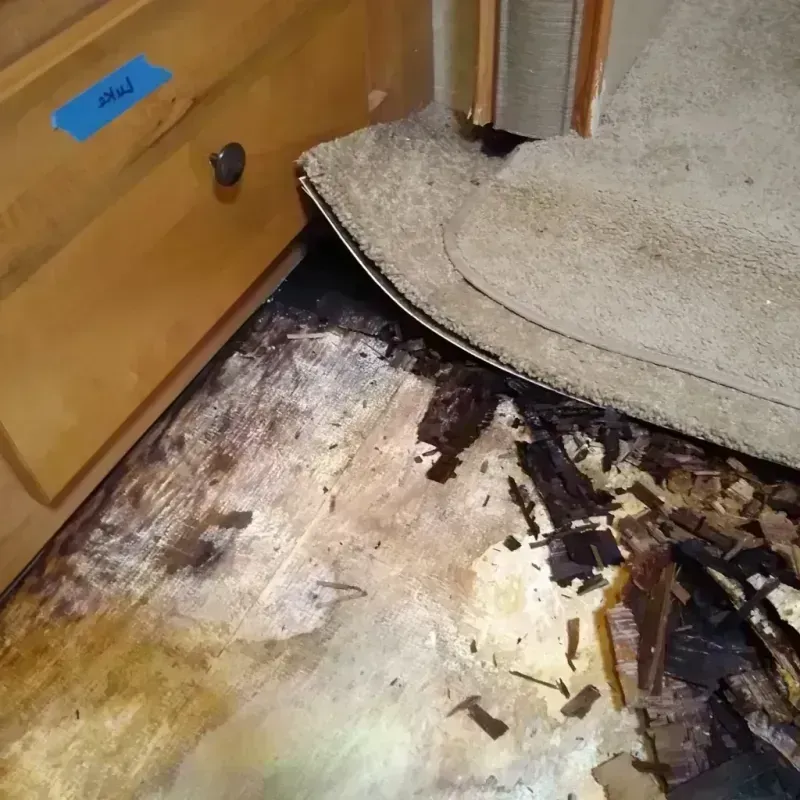 Wood Floor Water Damage in California, PA